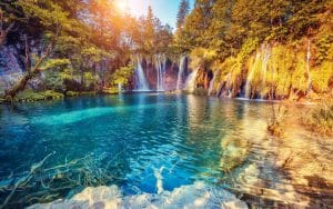 Nam in odio sed erat pulvinar tristique a sit amet lorem